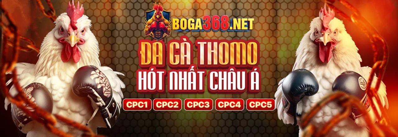 Đá Gà Trực Tuyến S666 Game - Trải Nghiệm Cá Cược Đỉnh Cao